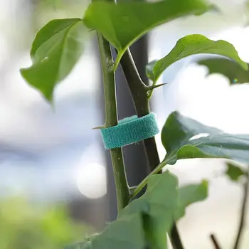 1 рулон режущей ленты, многоцелевой нейлоновый скручивающийся ремешок, переносной ремешок для галстука, лента, практичный органайзер для сада